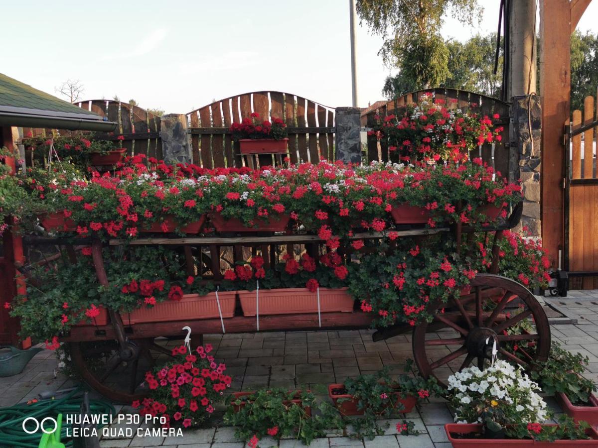 Отель Sepsi Relax Сфынту-Георге Экстерьер фото